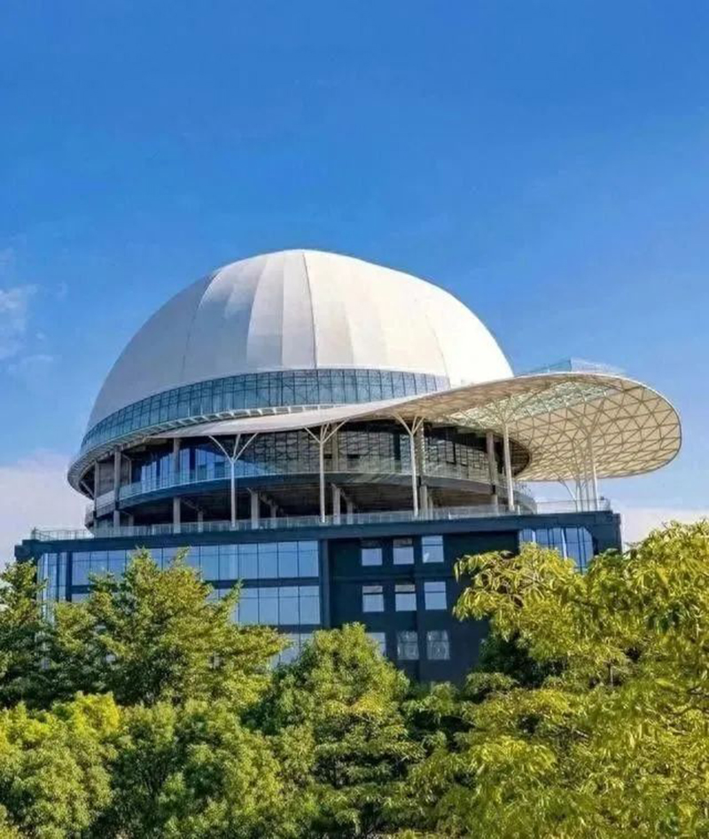 奇葩，好大一頂帽子