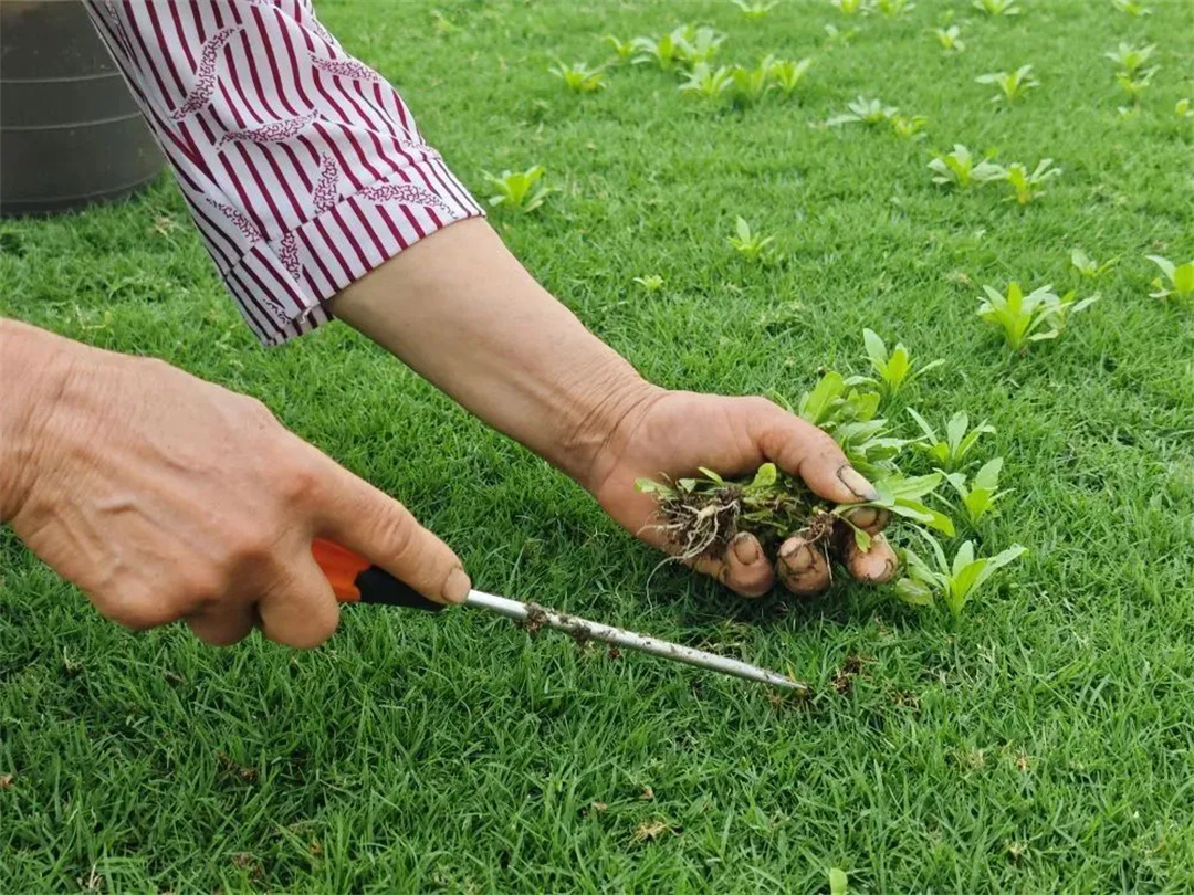 萬豪集團(tuán)匠心助力，6月齊聚重慶龍興足球場為國足吶喊助威！